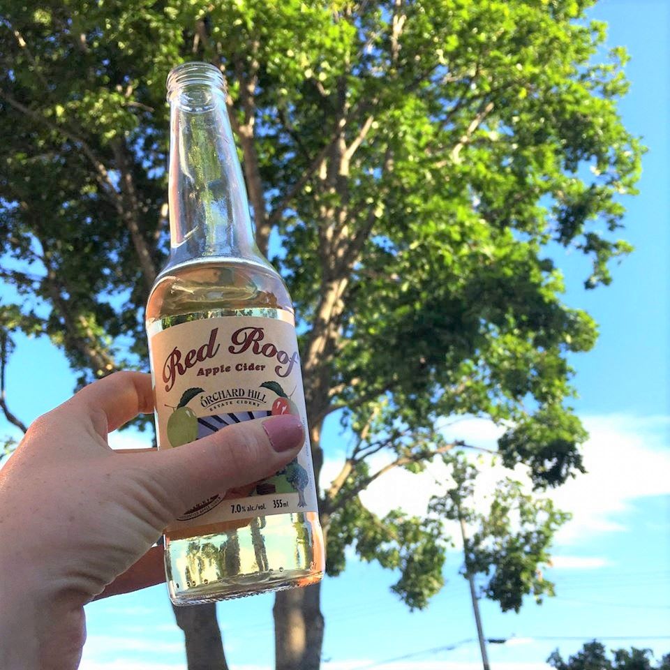 osoyoosbc's tweet photo. We raise a glass (or a bottle!) to our local cider producers in celebration of #BCCiderWeek August 6 - 16🍎🍻

Visit https://t.co/5FNo0Dt7qJ to view the Osoyoos Cider trail!

📷  Orchard Hill Estate Cidery https://t.co/0bF5xM74MA