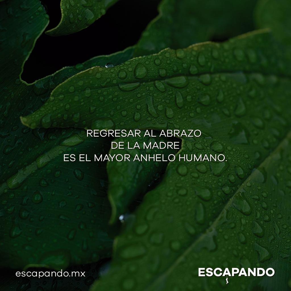 Escapando_Mx's tweet photo. Si pueden l@s invito a llamarle a sus mamás y preguntarles “cómo estás?” y acordarse de sus abrazos

https://t.co/HHZY5ipf0Z https://t.co/kLOXSZkyg0