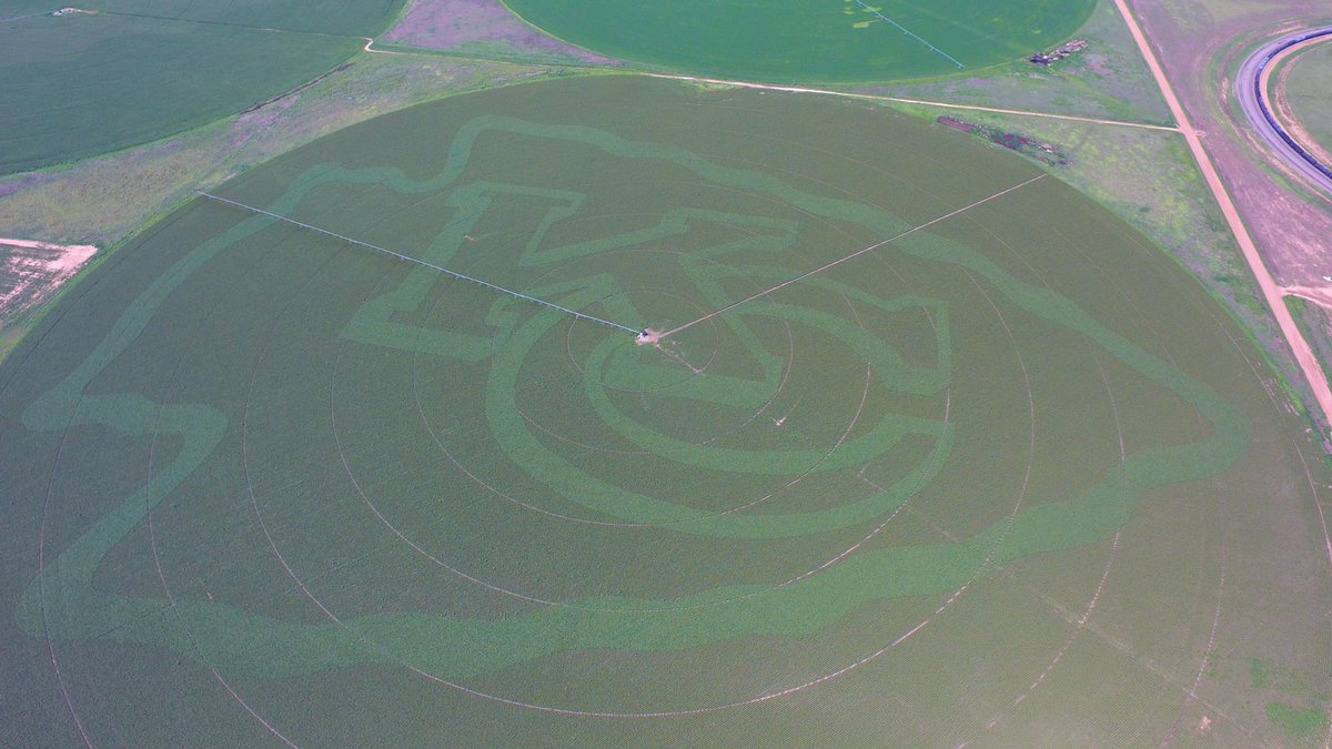 Rocky Ormiston tweet media