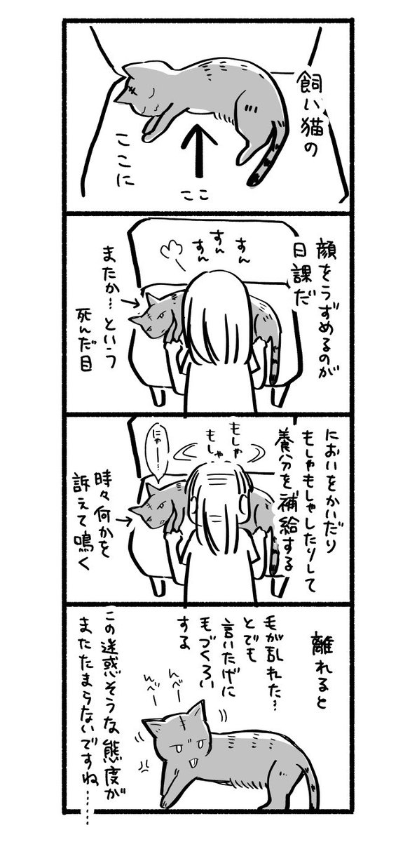 猫のお腹はいい匂い | ふじつか雪@12/5ほろよい14巻 さんのマンガ