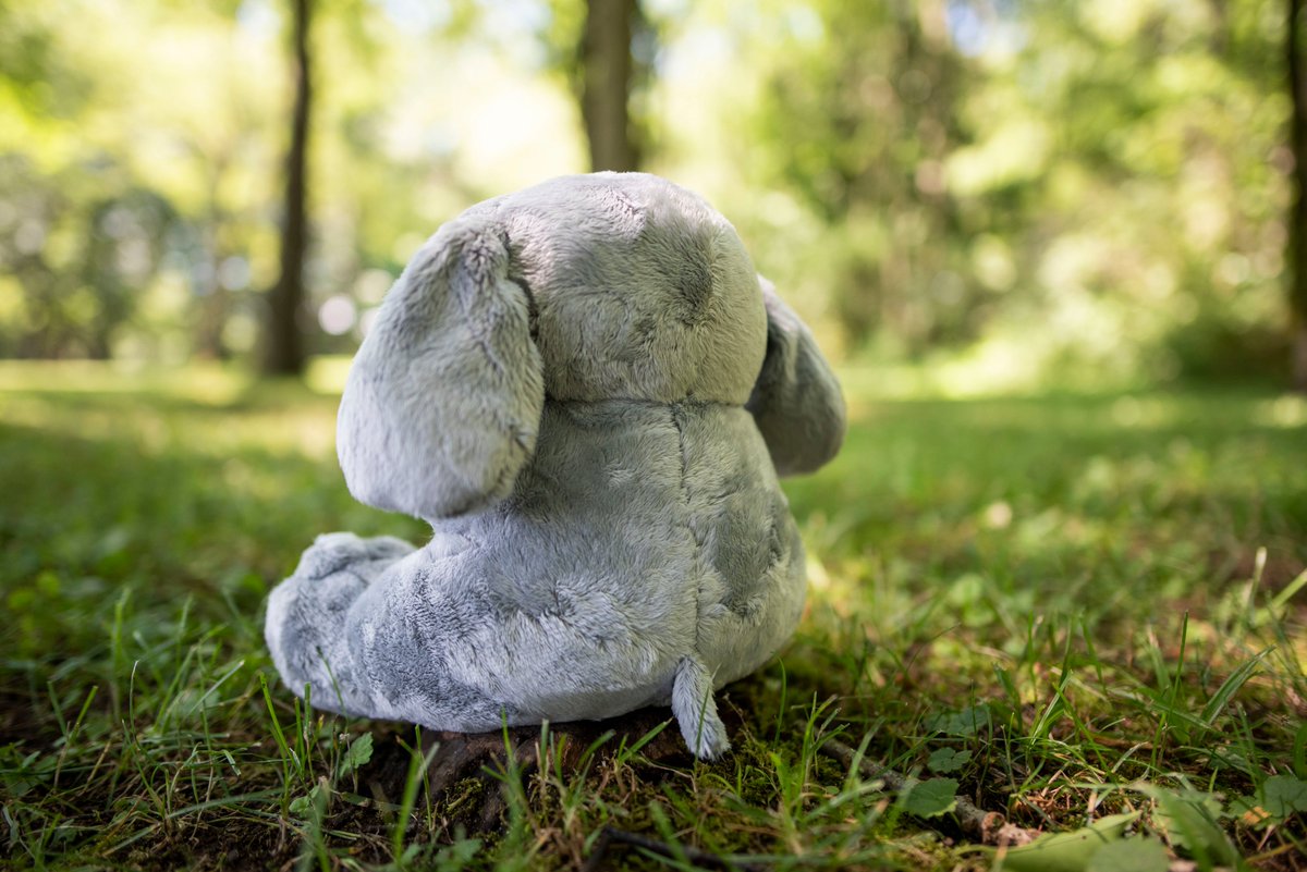 cutestplushies's tweet image. Cute stuffed animal elephant

amazon.com/Baby-Shy-Eleph…
#plushes #plushdesigner