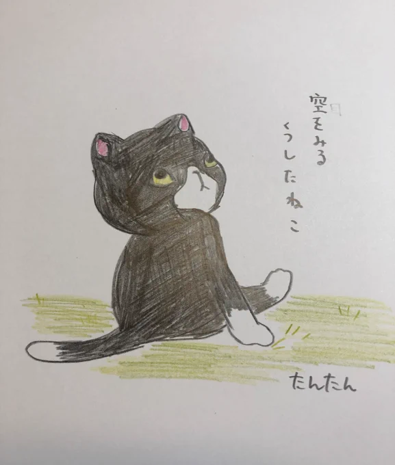 空をみるくつしたねこ#お絵かき #イラスト#猫#色鉛筆 