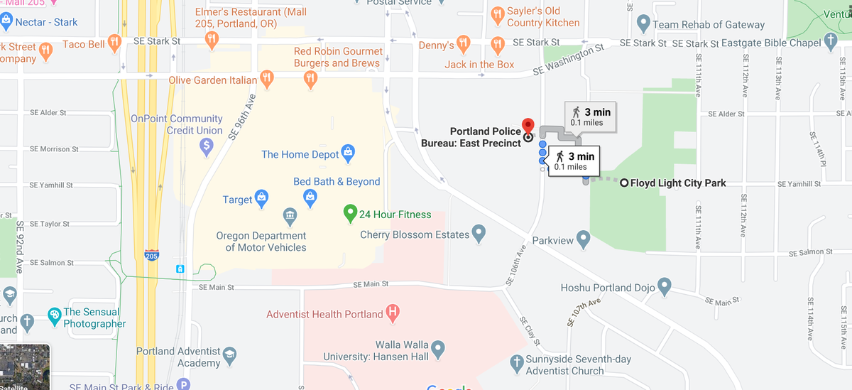 PNWSelina's tweet photo. Looks like some rioters are heading over to East Precinct tonight (SE Stark & SE 106th Ave, near #Mall205) #PortlandRiots https://t.co/mKMfBnzVed