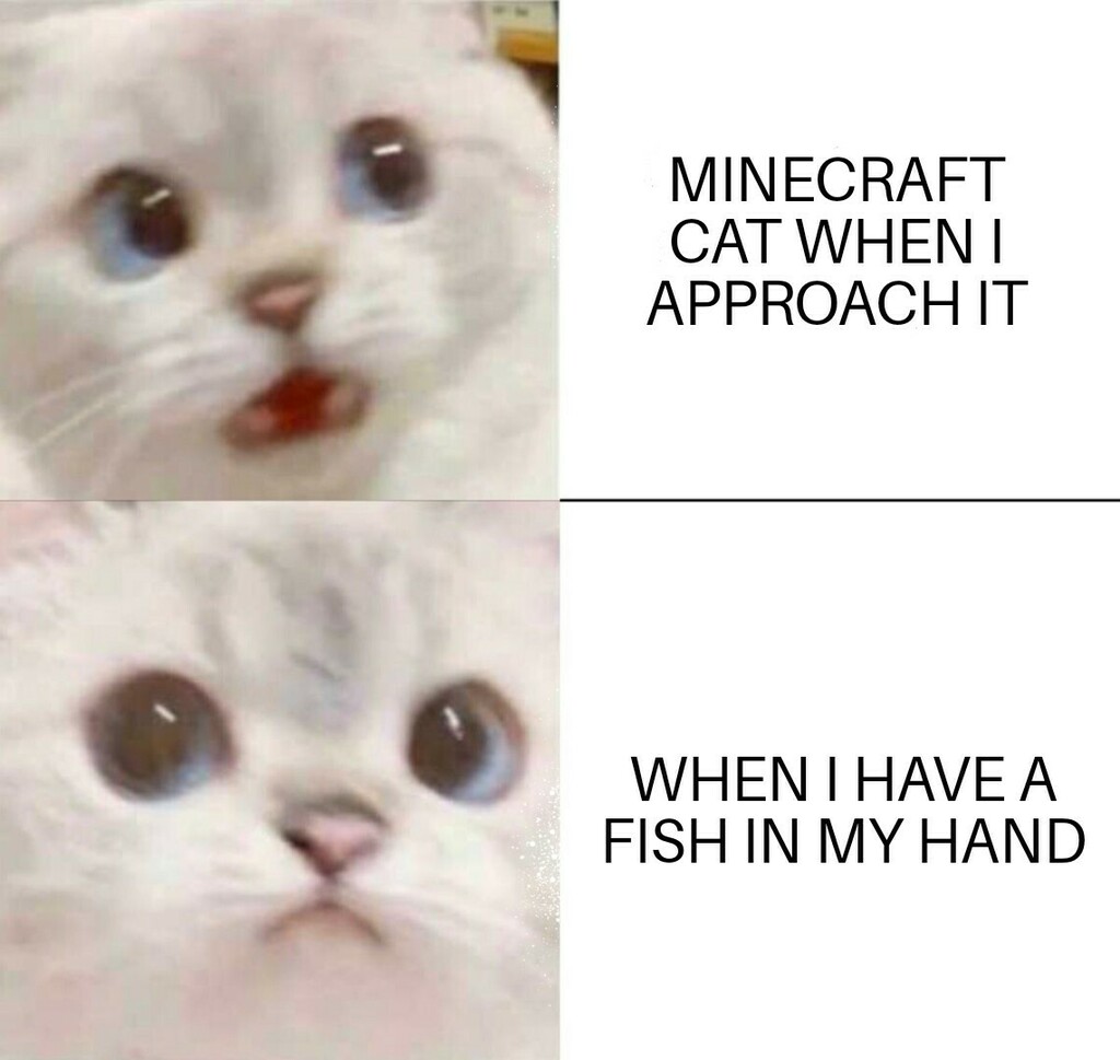 Scared Cat Meme Tote Bag Funny Screaming Cat Meme Bag - Etsy Finland, image size:1024x969