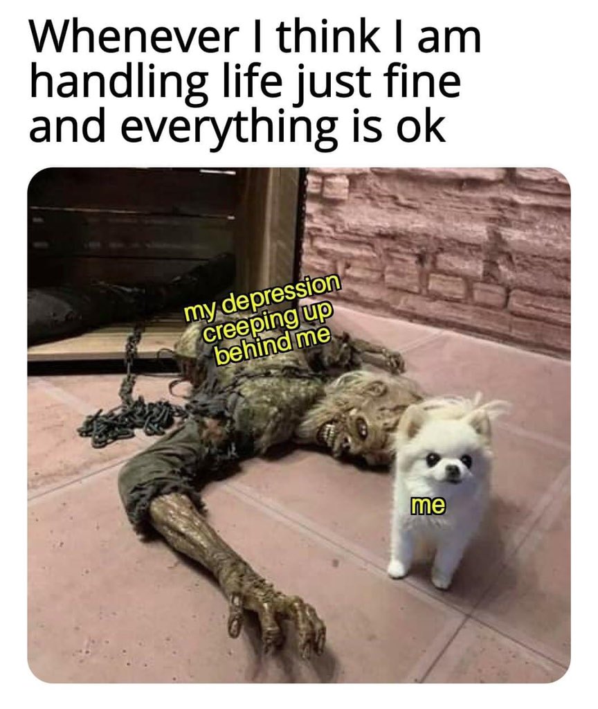 UmamiMaami's tweet photo. It be like this sometimes. #copingwithlife https://t.co/CvFfUbggUe