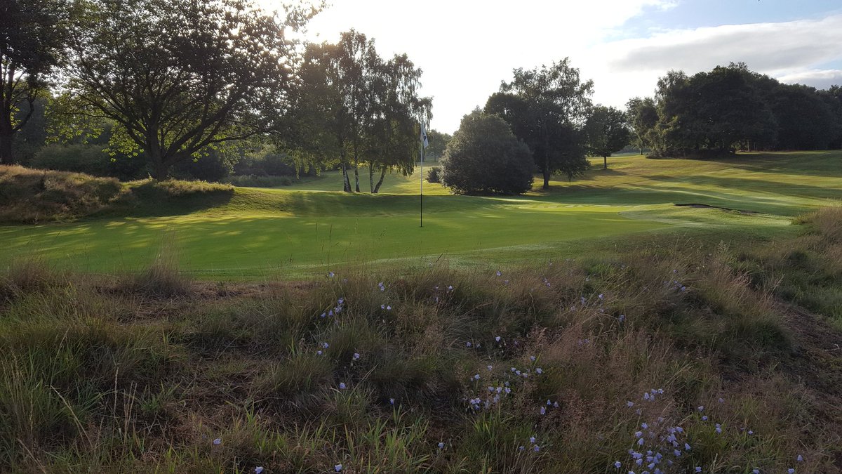 What a cracking morning for the final round of <a href="/PGANorth/">PGANorth</a> Leeds Cup <a href="/cobblehallgc/">Leeds Golf Club Ltd</a> the oldest trophy in professional golf.  The leader board is tight good luck ⛳
