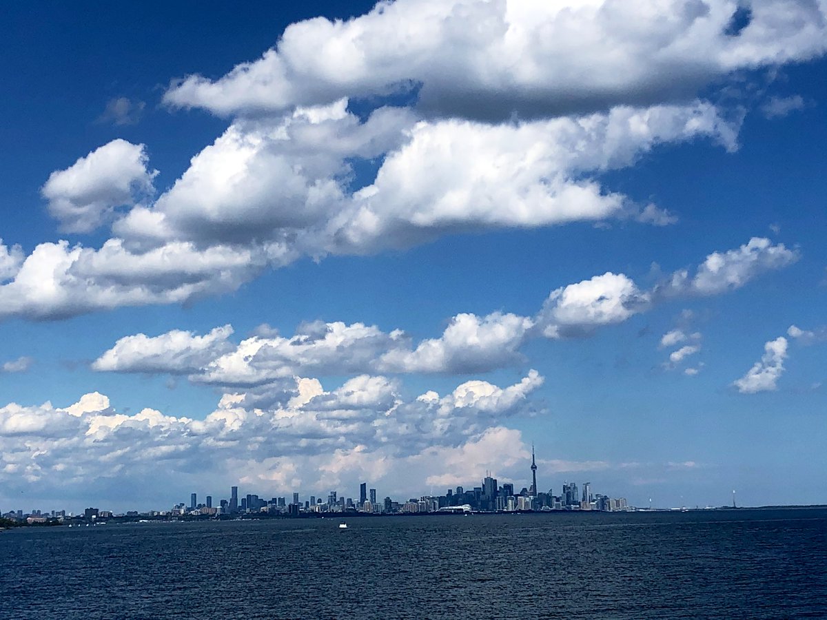 blankthoughless's tweet image. Went on a bike ride the other day.
Don’t really feel I have anyone that’s on the same wave length as me lately to make sharing these worth it. So I’ll post them here.