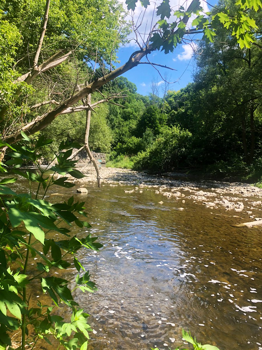 blankthoughless's tweet image. Went on a bike ride the other day.
Don’t really feel I have anyone that’s on the same wave length as me lately to make sharing these worth it. So I’ll post them here.