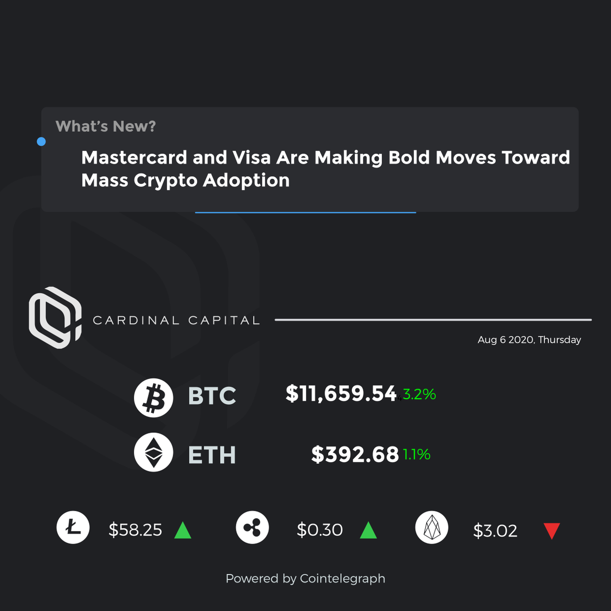 CardinalVC's tweet photo. #cardinalcapital #BTC #Bitcoin #ETH #BlockchainNews #CryptoCurrency #DigitalAsset #PriceUpdates https://t.co/KVEXofGD8n