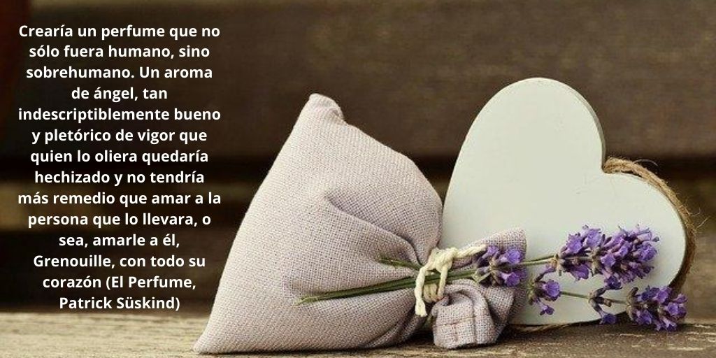 Microbiblioteca's tweet photo. Grandes frases de los libros #FelizJueves
.
.
.
.
#leitura #lectura #reading
#library #livros #Books  
#libros #Libro 
#leer #read #bookstagram
#fraseseducativas #frasesdeamor 
#frasesmotivadoras #frasestumblr 
#frasespositivas #paz #valores #principios
#educacion #educación https://t.co/wkpUkuWmcn