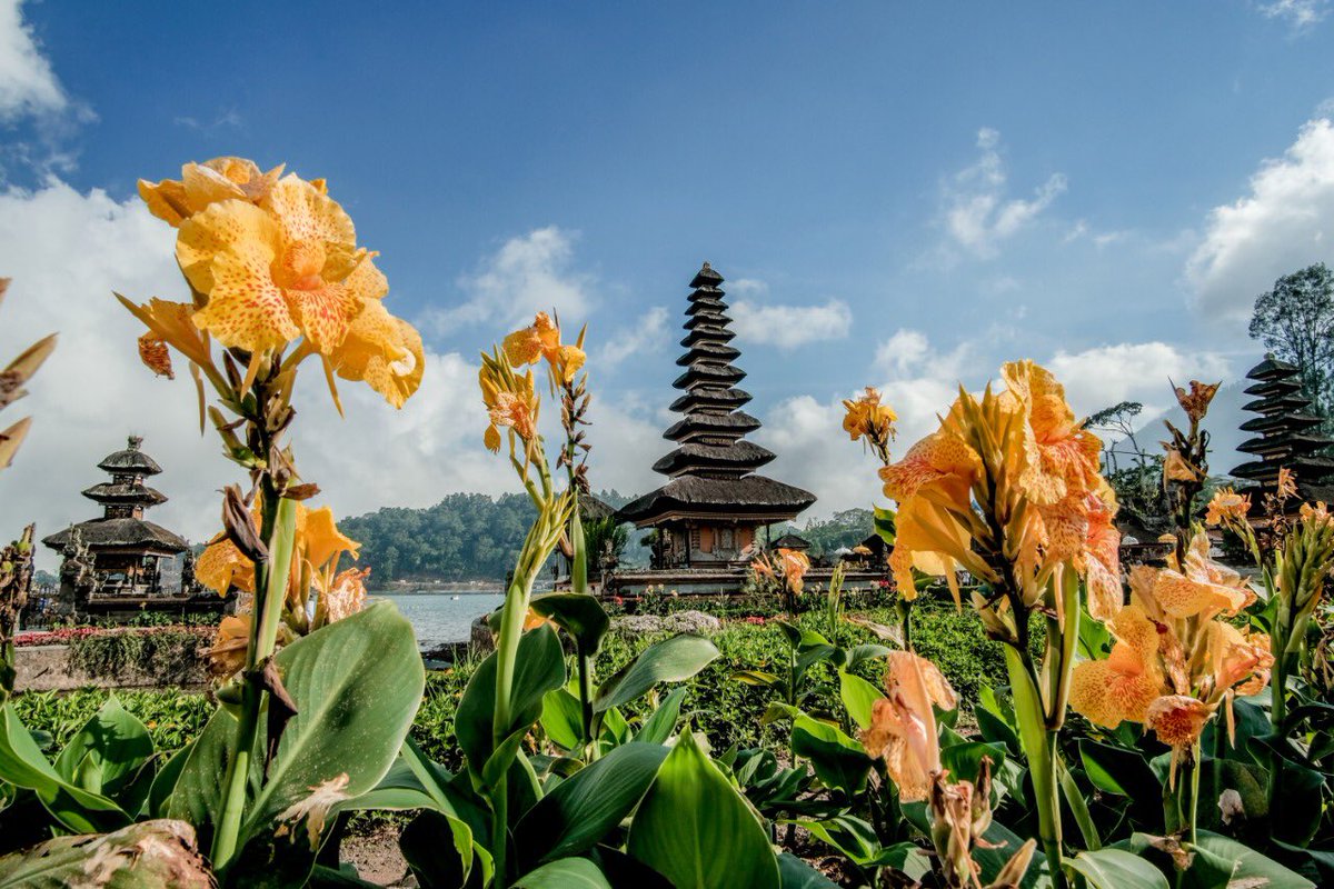 KemenPariwisata's tweet photo. Kemenparekraf dan Agoda bekerjasama menggelar kompetisi foto bertema “Permata Kotaku”, yang mengajak peserta untuk memotret keindahan dan keunikan kampung halamannya.

#BangkitUntukIndonesiaMaju
#BersamaJagaIndonesia
#ThoughtfulIndonesia https://t.co/FFP4RfQ2jz