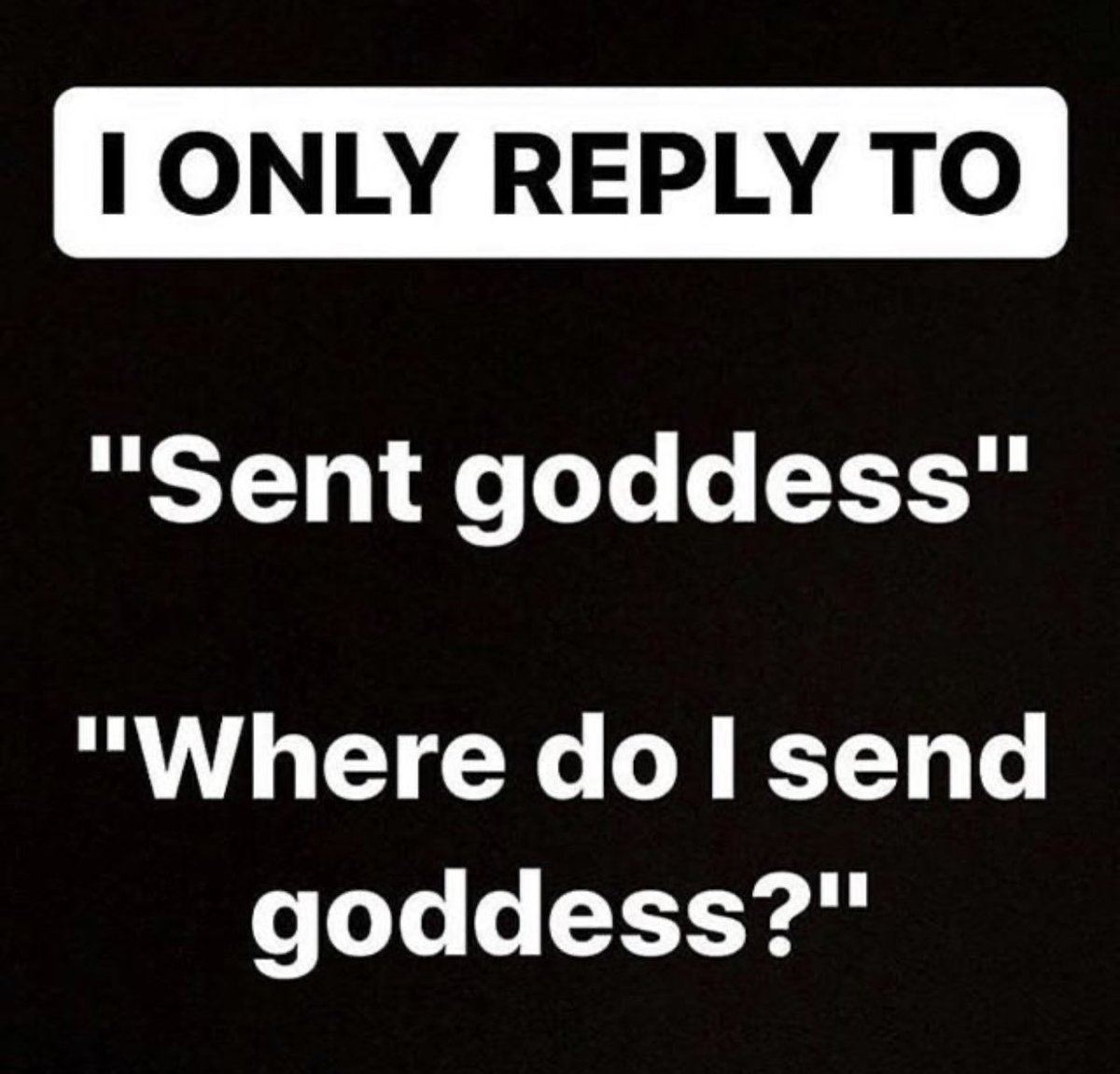 _thefierceone's tweet photo. Cause some of you guys just don’t get the way this works yet #findom #findomgoddess #findomme #musclegoddess #worship #walletdrain #fetish https://t.co/w3fefx5SF3