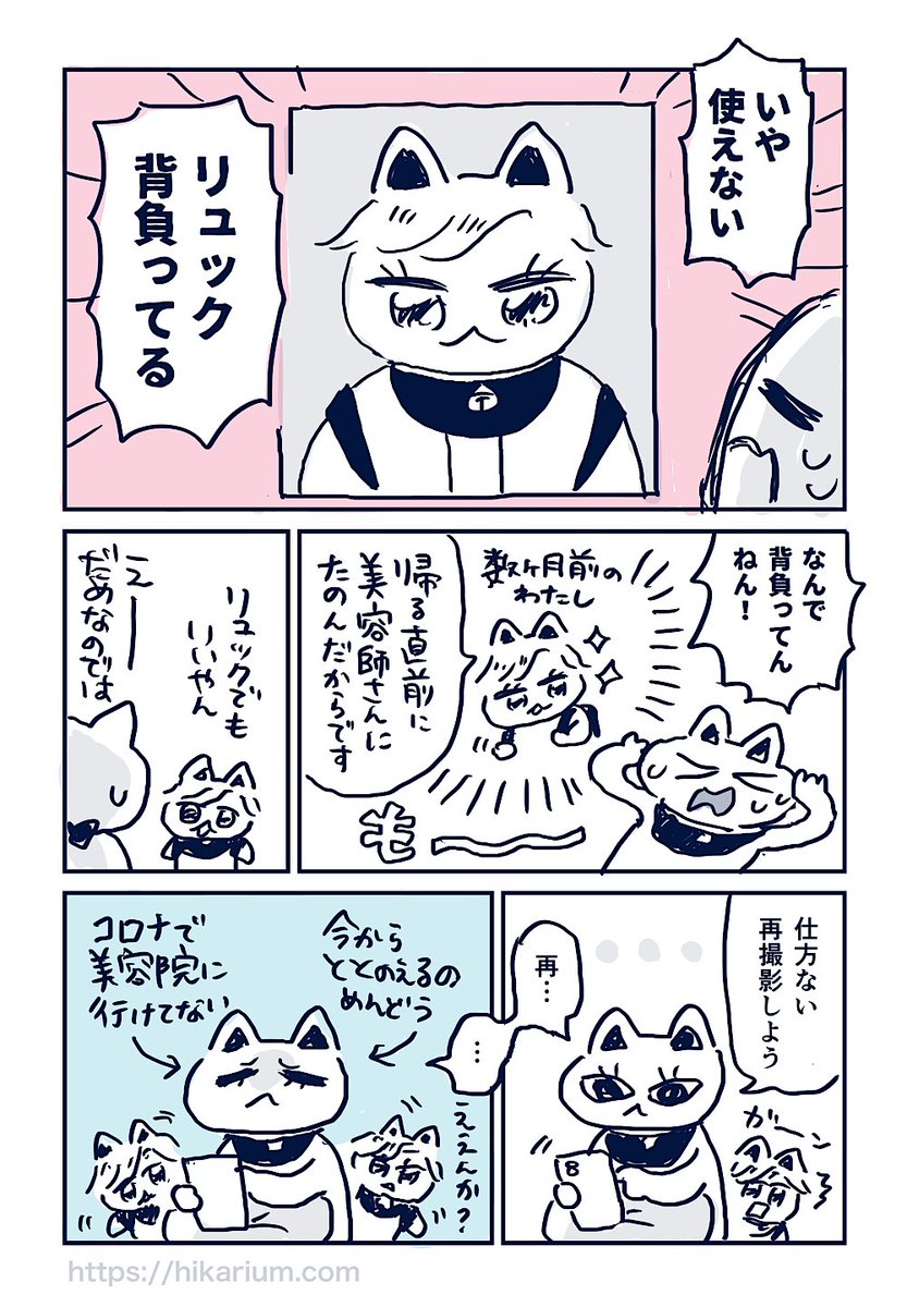 【マイナンバーカードの写真の話】
申請発行時の日記漫画。顔写真が選べるなら髪がつやつやで綺麗な日に撮りたい! 