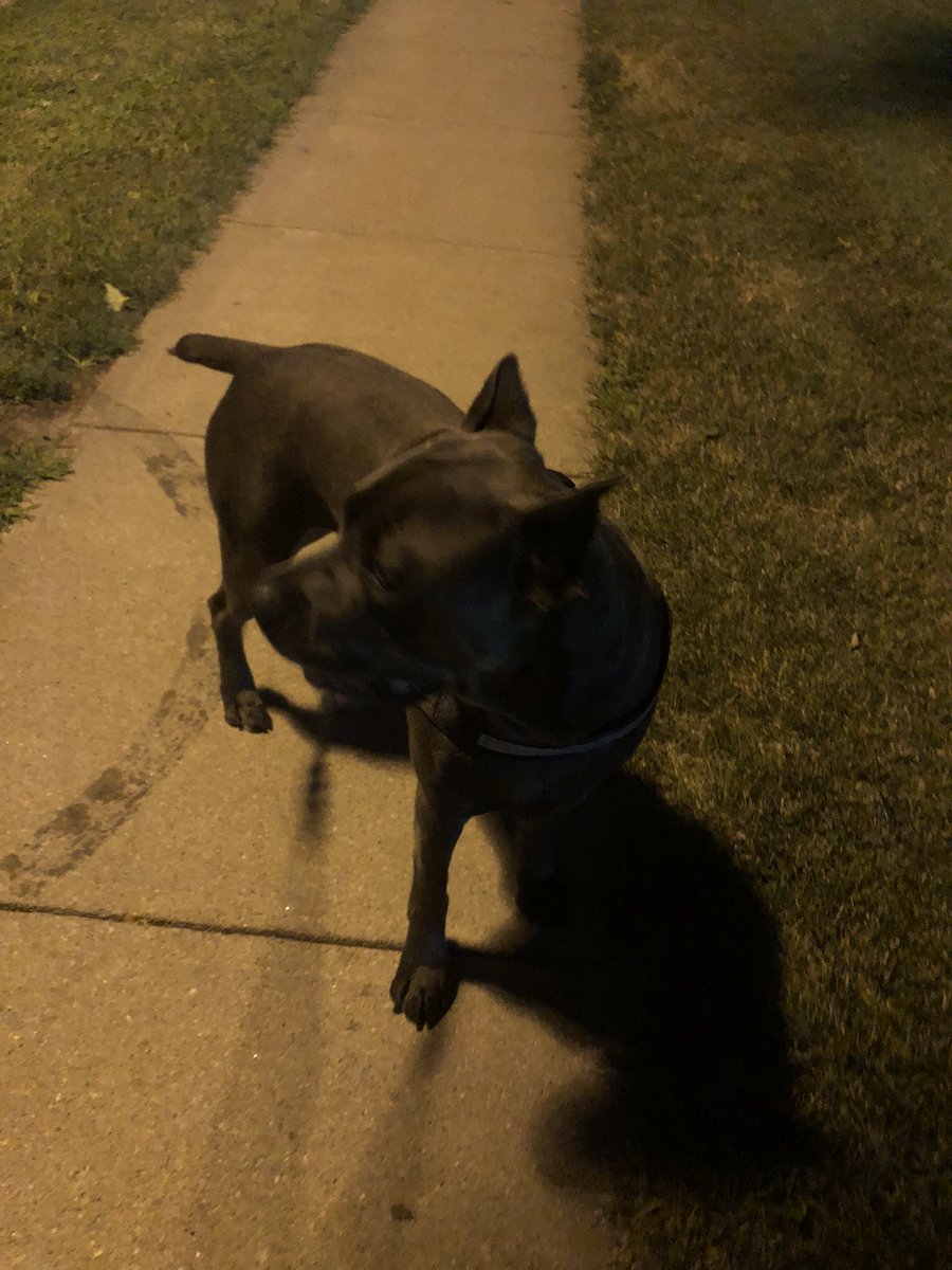 A full day at school, a little gardening, cooked up some homemade pickles and salsa, and now a short walk to end the day. Now if only the Royals could pick up a victory.....