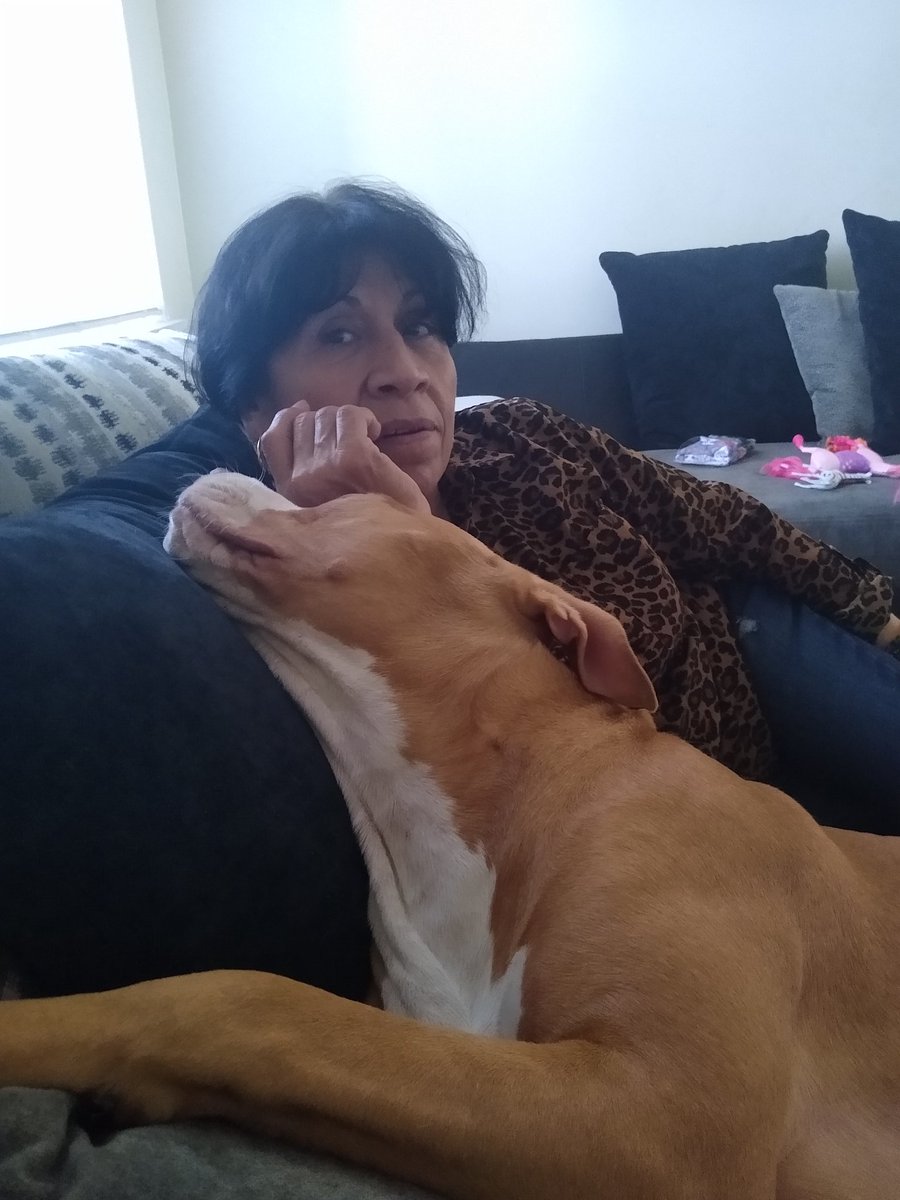 ItsFcknIme's tweet photo. My maleficent met her grandma from del rio for the first time today and she absolutely LOVED her. They really were inseparable ♥️🐾🐕 https://t.co/szlXHW5Tax