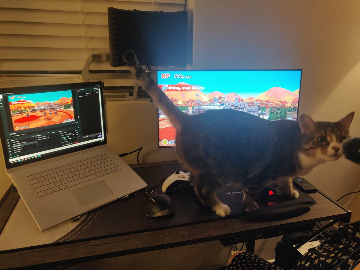 wildcardcameron's tweet photo. This is my life right now...

#CatTwitter #CatsOfTwitter #KittyTrouble #CatProblems #Twitch #Streaming #TwitchFail #Cats #WFH https://t.co/yJzvDjKtMw