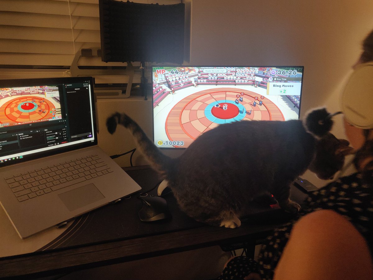 wildcardcameron's tweet photo. This is my life right now...

#CatTwitter #CatsOfTwitter #KittyTrouble #CatProblems #Twitch #Streaming #TwitchFail #Cats #WFH https://t.co/yJzvDjKtMw