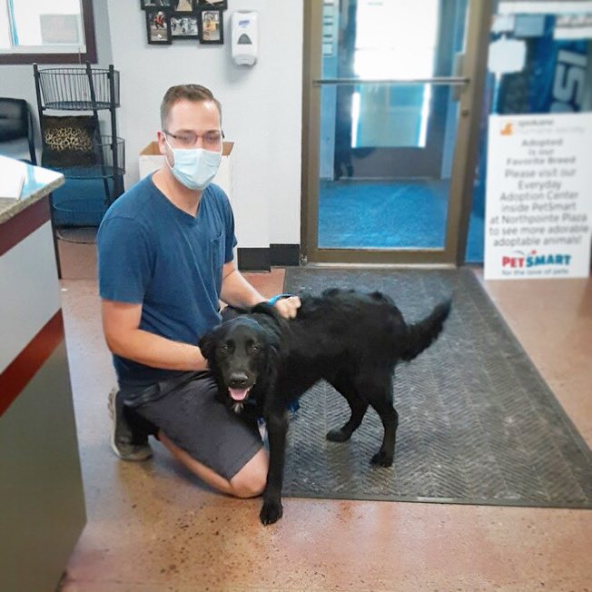 All smiles and wagging tails for Bigfoot on this #wetnosewednesday 💕Thank you for giving this sweet pup a place to call home 🐾

#Adopted2020
#AdoptedDogs #AdoptDontShop
#AdoptedIsOurFavoriteBreed
#SpokaneHumaneSociety