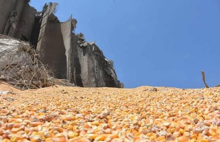 2Amilsa's tweet photo. #Beitut
This is what the grains look like in the port of Beirut after the explosion that consumed the largest silo in Lebanon. https://t.co/vdcpnyx01Y