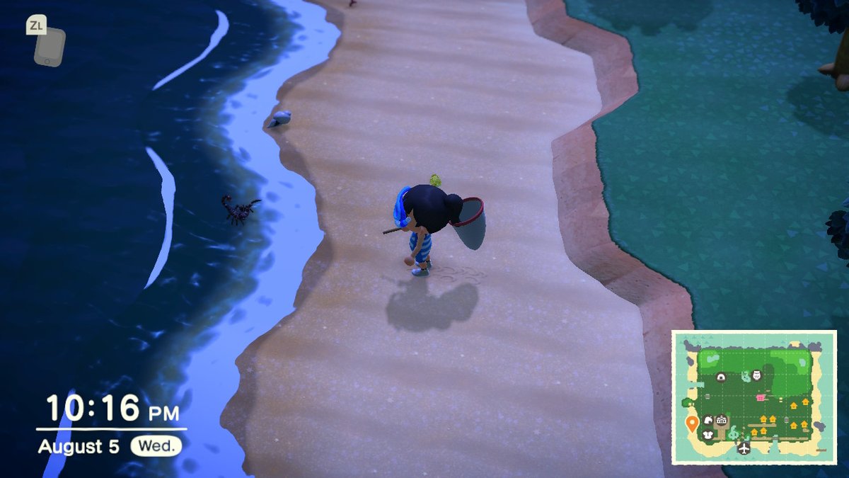 PorthavenNation's tweet photo. Moments before devastation and disaster :( #AnimalCrossing #ACNH https://t.co/V5CkFN7gp8