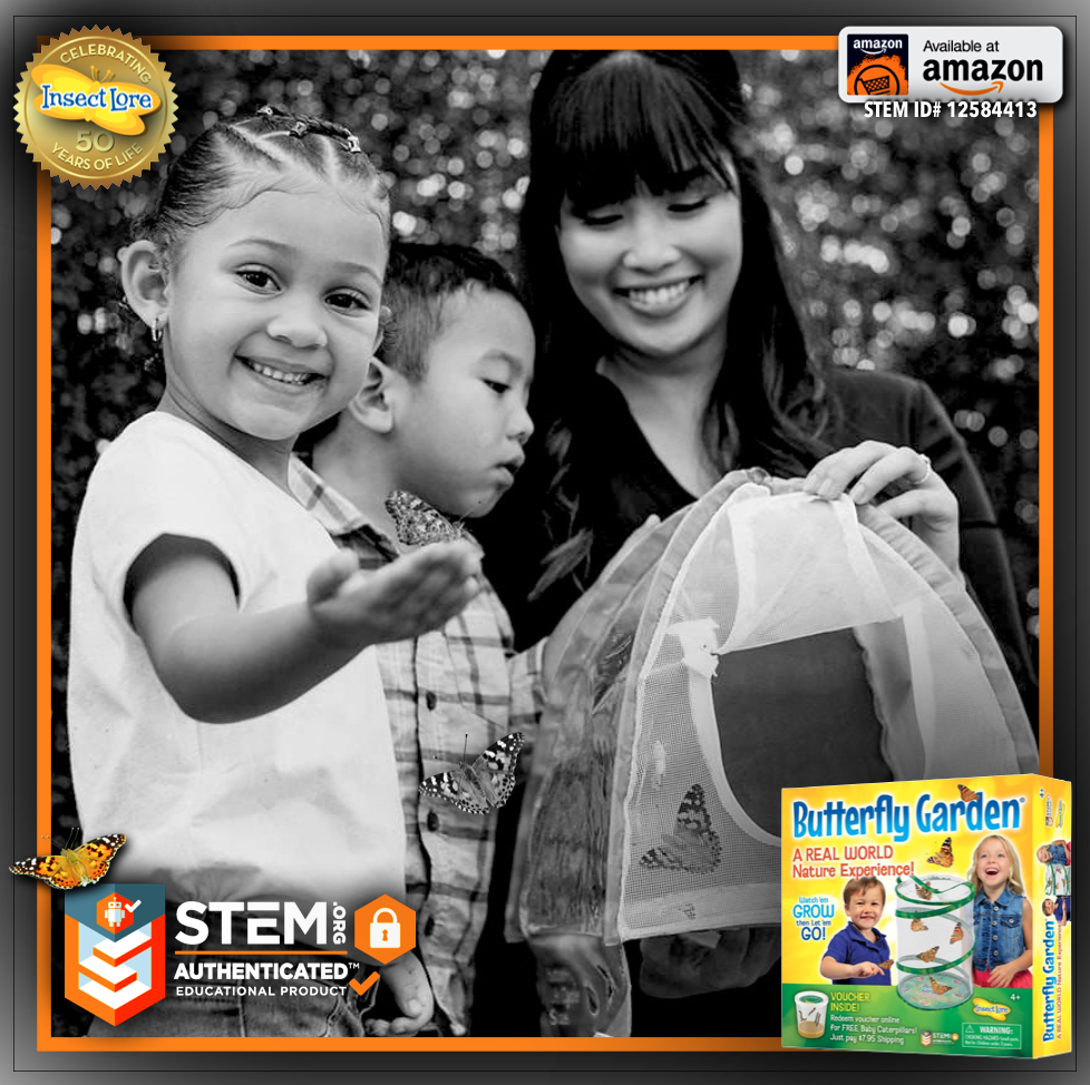 stemdotorg's tweet photo. ☀️ sᴜᴍᴍᴇʀ ᴏғ sᴛᴇᴍ 🐛 Insect Lore's Butterfly Garden® with Voucher provides children as young as 4 with limitless #STEM opportunities & FUN! #STEMAuthenticated 🔐
Details: https://t.co/XiwVX8QqRM 🔍
#STEMEducation #STEMToy #STEMToys #STEMApproved #STEMProduct #BestInSTEM https://t.co/w384o1nuIx
