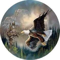 JacqueK01's tweet image. #NewProfilePic