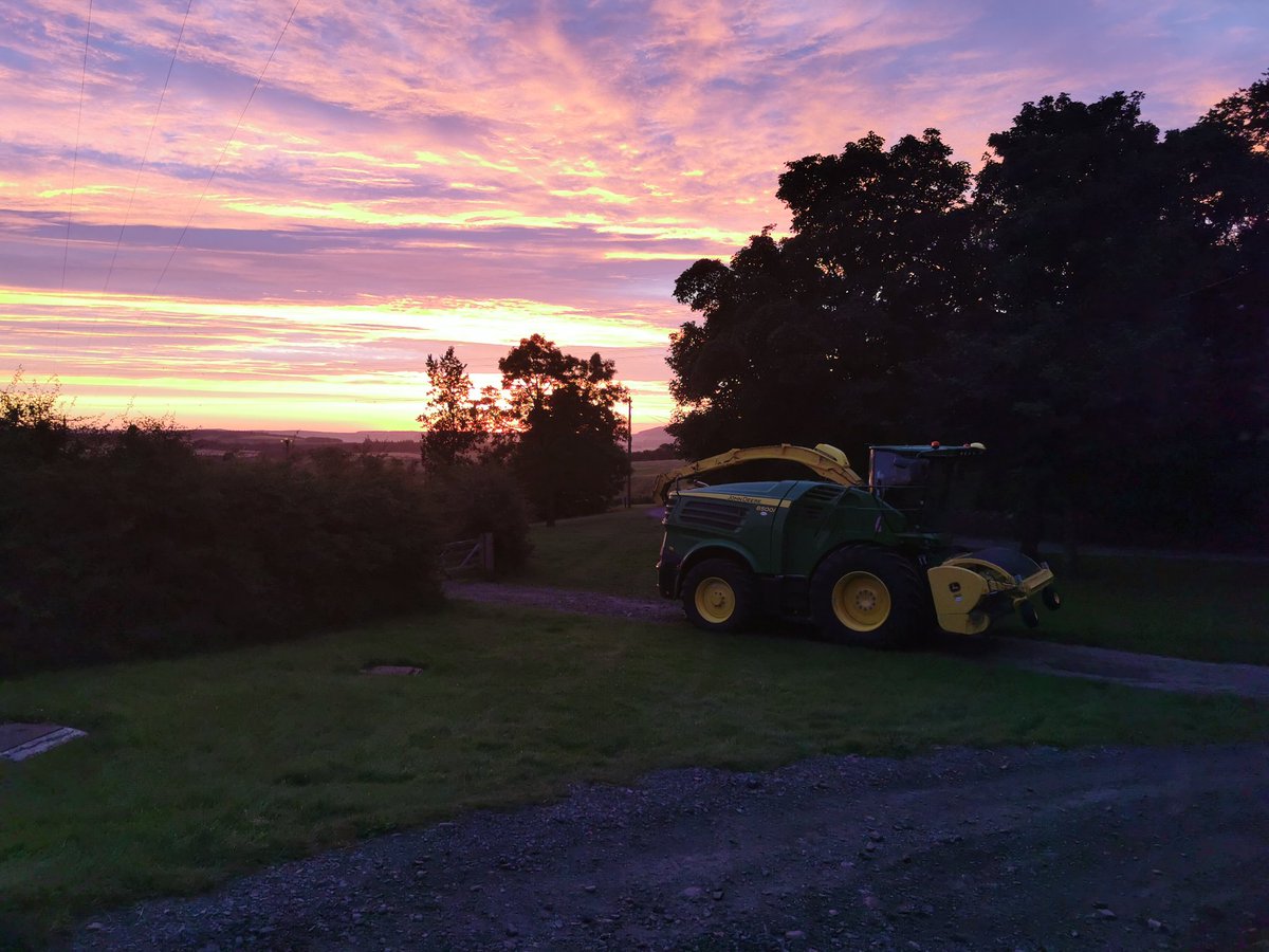 tony6290's tweet image. #Farm24 let's get this day started. Off to lift some peas for the clamp