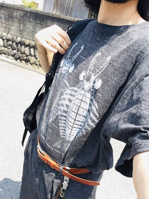 道ゆく人々をアノマロファンにしていくTシャツ。春に出版され装画で参加した土屋健著『アノマロカリス解体新書』で採用した、2014年の論文を基に描いた復元画です。生地の色も選べて写真はヘザーブラッグ。 11日までセール中!https://t.co/MziIClXqcj #SUZURI夏のTシャツセール 