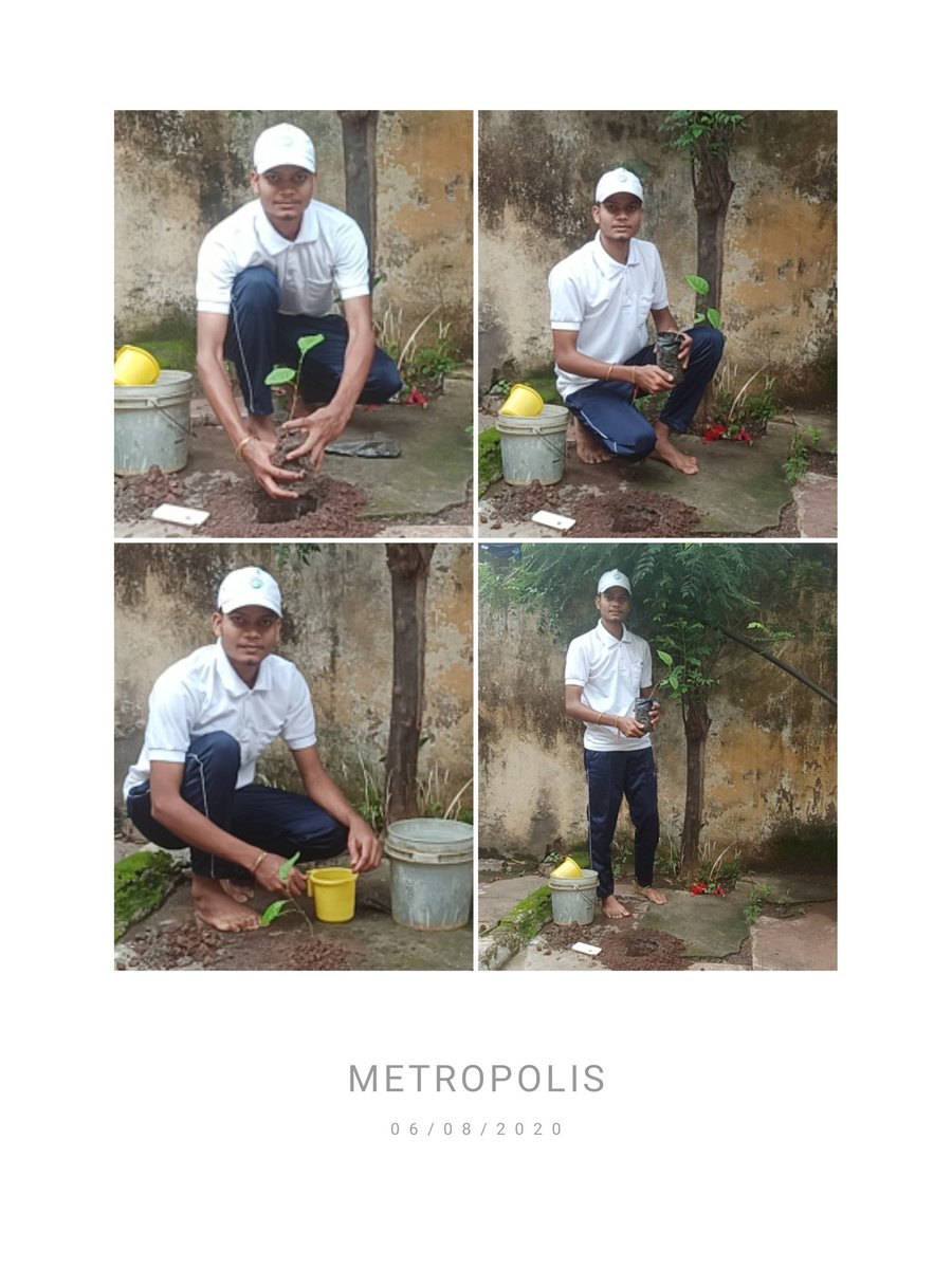 Abhishe05336098's tweet photo. A contribution for the wellness and greenery of our society by me.
Jai Hind 🇮🇳🇮🇳
Lcpl. Abhishek Kumar Mishra (1MPCTR) NCC Bhopal group
@HQ_DG_NCC
@expacadetprogr1 
@NCC_India_
@DrKumarVishwas
@SagarCollege https://t.co/hzSoCaYefF