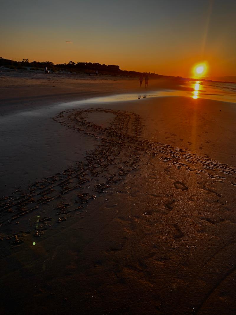 shelly_richa's tweet photo. My Friend Melissa is a finalist in Kiawah Island Golf Resort's Photo Contest - help rally votes: https://t.co/TROvrzEmhu @kiawahresort https://t.co/TcXwCh0tkR