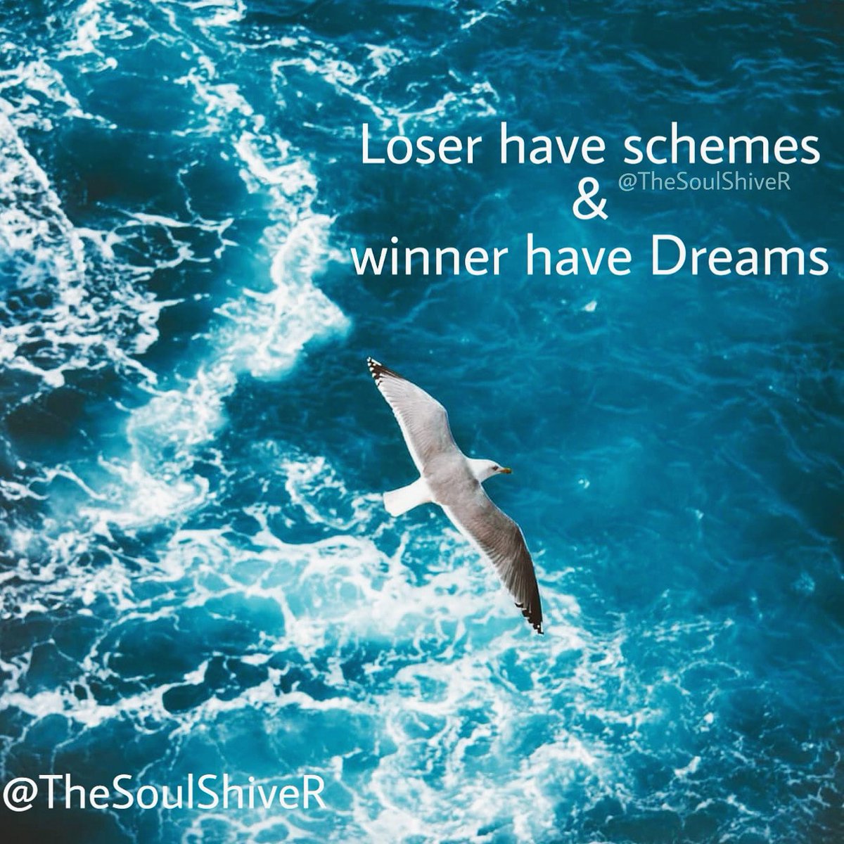 TheSoulShiver's tweet photo. Winner
.
.
.
#poet #poetry #poetryisnotdead #poetrylovers #poetsociety #poetrycommunity #poetryislife #poetic #poems #quotes #quoteoftheday #quotesaboutlife #lovequotes #writer #writerscommunity #words #writing #writersofindia #writingcommunity #wordgasm #love #friendship #winner https://t.co/m4Sw4gbB8S