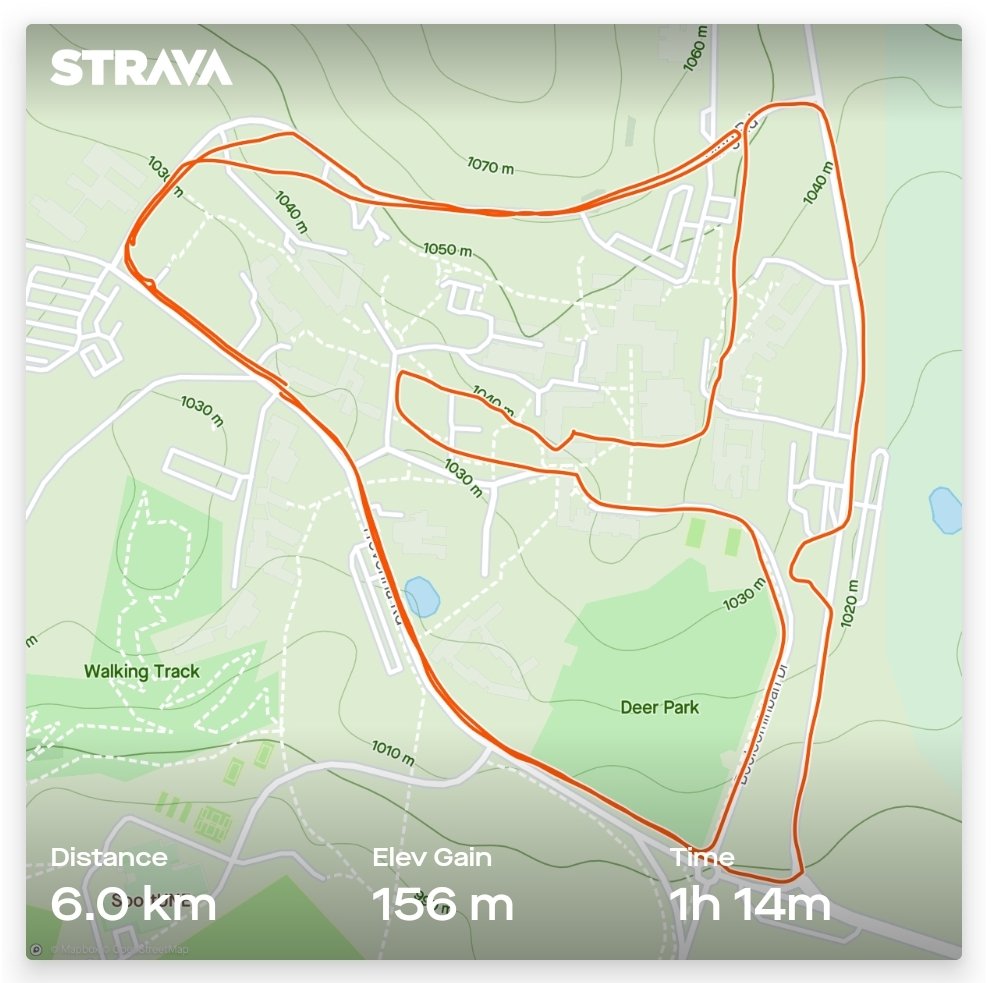 LauraGarland17's tweet photo. T-bones for the win!
Jessira Perovic and I just cutting up the #2020amsafunrun #MSAdoesAMSAfunrun #MeatStandardsAustralia #MSAEveryday
#MSArepresent  #recordgradingnumbers #recordcompliance #recordMSAindex #myMSA #meatnerdadventures https://t.co/LsVY9OmvHW https://t.co/5CrtAMcHPG