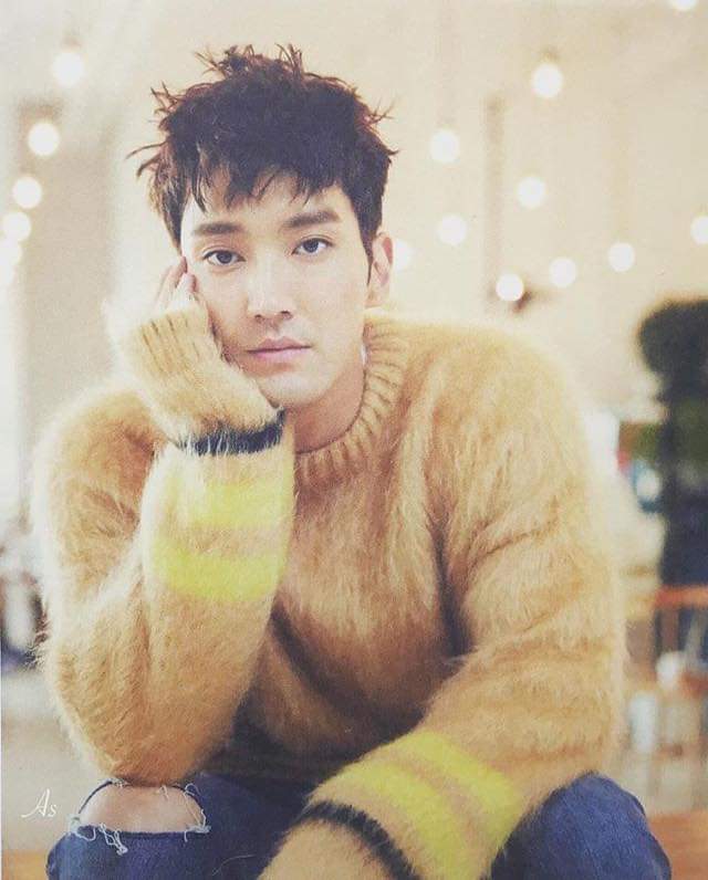 SiwonThe kind, prim and proper Hufflepuff from the noble family. Hufflepuff Prefect and Hogwarts& #39; model student and the Triwizard Champion.