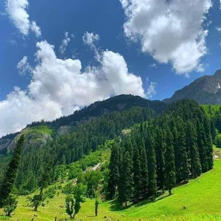 Brand Pakistan tweet media
