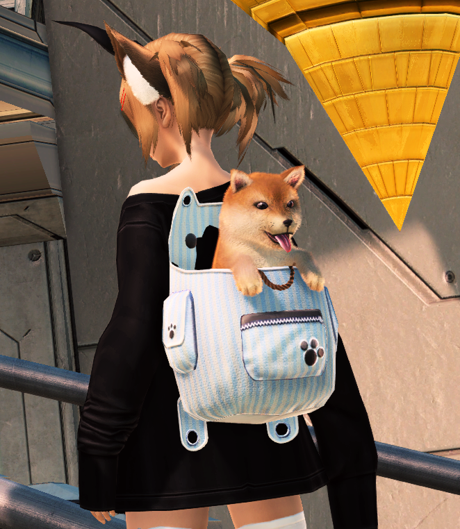 shiba backpack