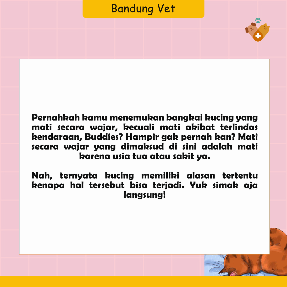 BandungVetClini's tweet photo. Ini alasan kenapa bangkai Kucing jarang di temukan Buddies.

#dokterhewanbandung https://t.co/5EeGnlFyQT