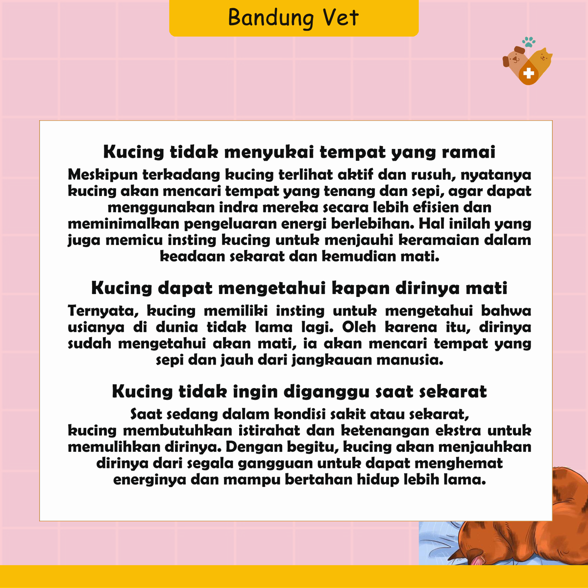 BandungVetClini's tweet photo. Ini alasan kenapa bangkai Kucing jarang di temukan Buddies.

#dokterhewanbandung https://t.co/5EeGnlFyQT
