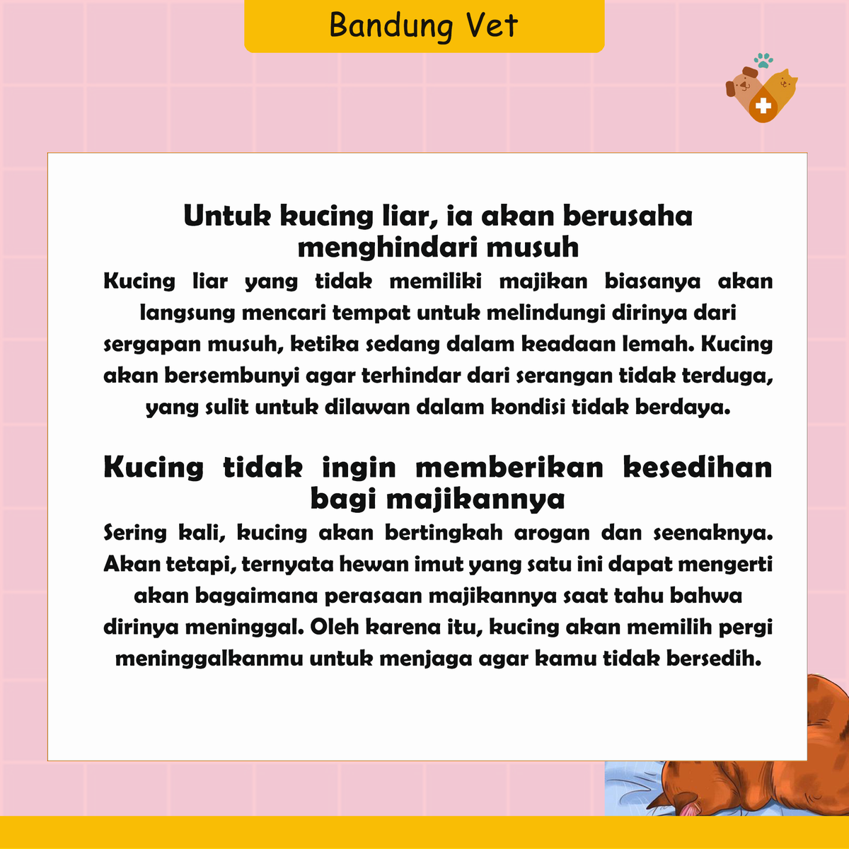 BandungVetClini's tweet photo. Ini alasan kenapa bangkai Kucing jarang di temukan Buddies.

#dokterhewanbandung https://t.co/5EeGnlFyQT
