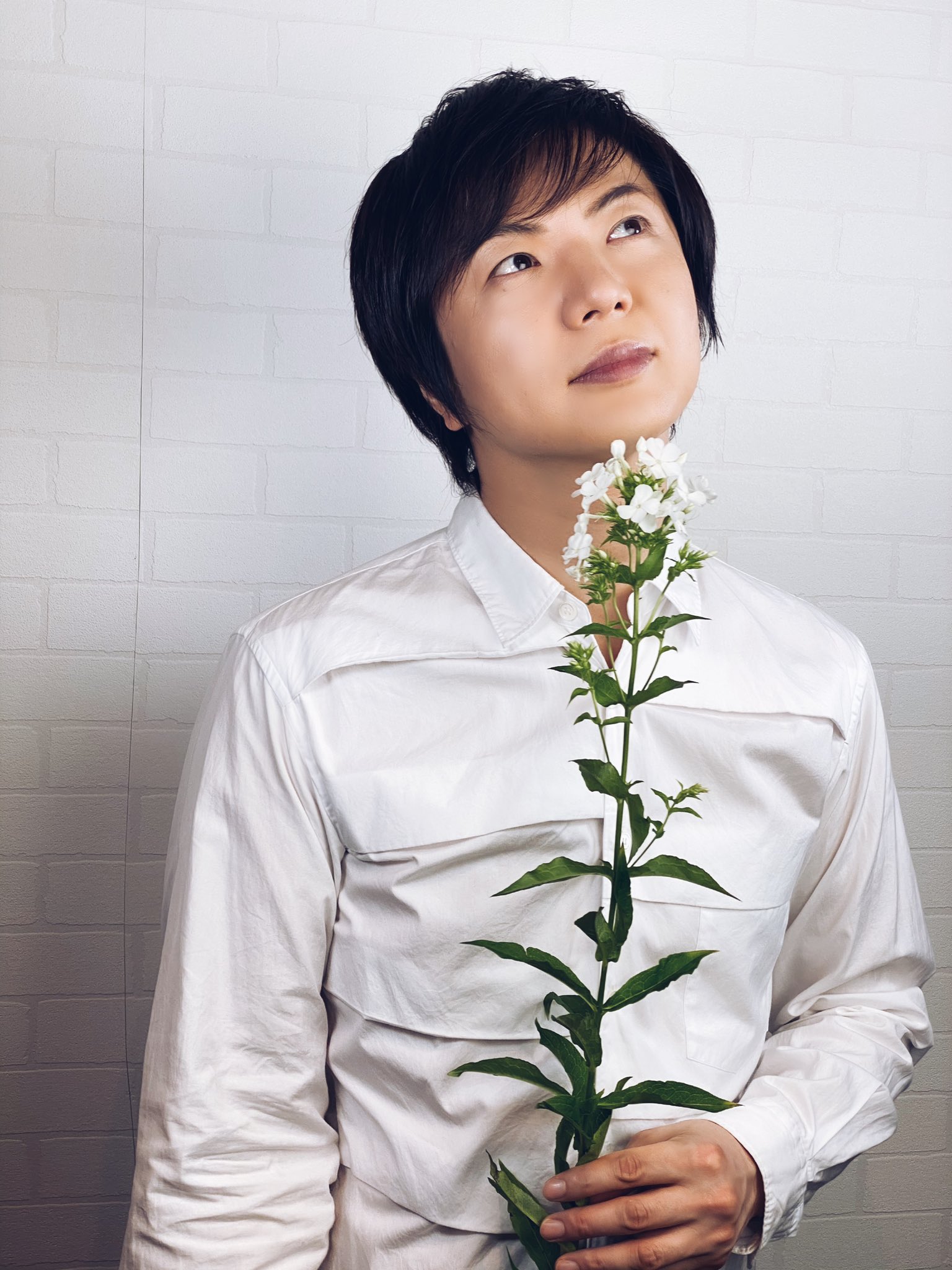 竹島宏スタッフ 公式 A Tuwita フロックス 花言葉は 協調 一致 たくさんの花が寄り集まる 姿がまるでひとつのチーム みたいですね 今日も１日お疲れ様でした ひろネット 花 Flower 花言葉 花を贈ろう 花のある暮らし フロックス 絆 白 晴れ