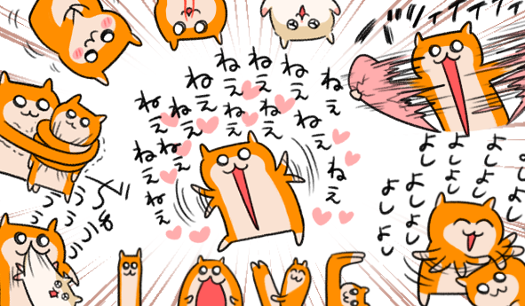 クソカワイイハムスターちゃんの日…
#ハムの日 #クソハムちゃん 