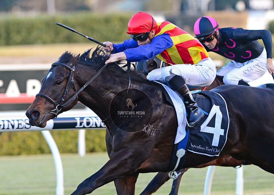 LisaGrimm9's tweet photo. Missile Stakes this Saturday.
On Throwback Thursday here’s the winners of the last four years !
#ALIZEE 2019
#PIERATA 2018
#INVINCIBLEGEM 2017
#TYCOONTARA 2016
#tbt #ThrowbackThursday https://t.co/AINA9nKBKb