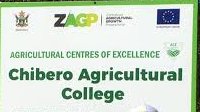 In response to the Government’s calls to boost export earnings, the Chibero Agricultural College in partnership with ZimTrade hosted an export development seminar for Agritex officers. The seminar was organised by the EU-funded (ZAKIS) in collaboration with MoLAWRR.