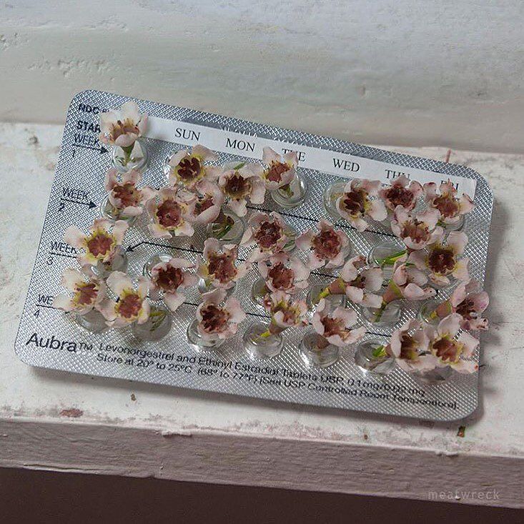 Archillect (@archillect) on Twitter photo 