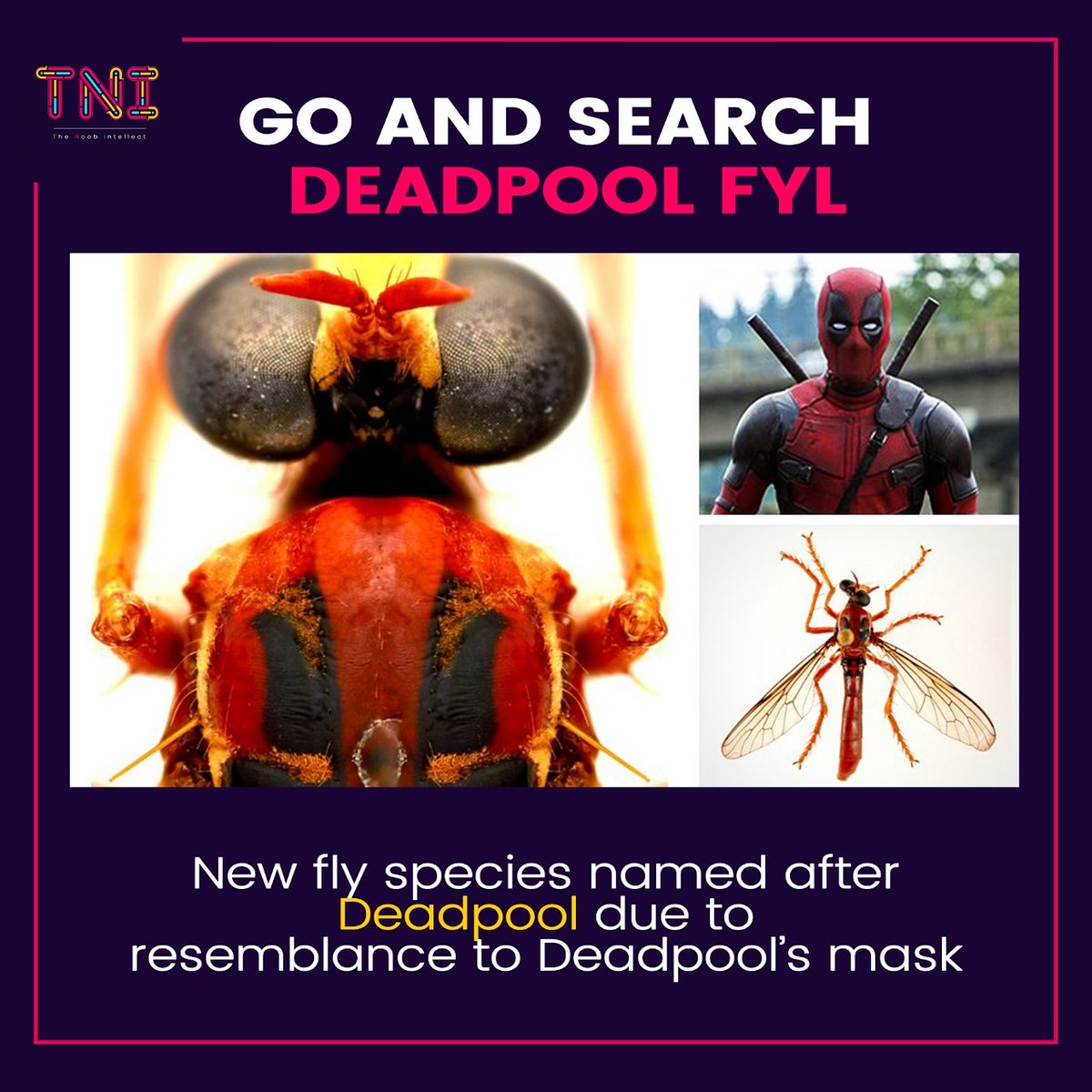Deadpoolfly Hashtag On Twitter