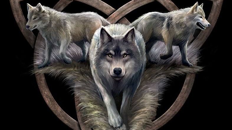 gladhill_in's tweet photo. "Celtic Pagan Wolves"πΊ https://t.co/fi0zga3U8r