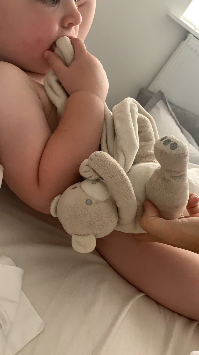 laurensutton23's tweet photo. @my1styears I tried to order another teddy blanket but they are not on your website anymore. This one is disgusting now and he needs a new one. When will you be getting them back in ? https://t.co/Q7tPZFJivb