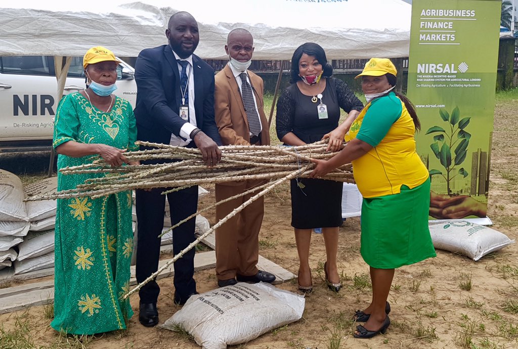 nirsalconnect's tweet photo. In adherence to the principles of all-inclusive growth, NIRSAL Plc is empowering 475 female farmers in Uyo for cassava production. According to its Agro Geo-Cooperative® (AGC) model, NIRSAL Plc structured the farmers into a group aptly named the Uyo Women AGC. https://t.co/zi4TCJ1a1h