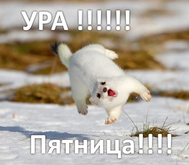 CaptainSnow_ tweet picture