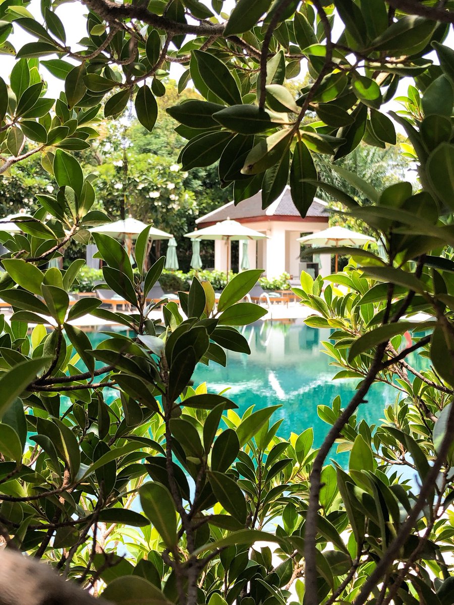 Say hello from <a href="/TheSukhothai/">TheSukhothaiBangkok</a>