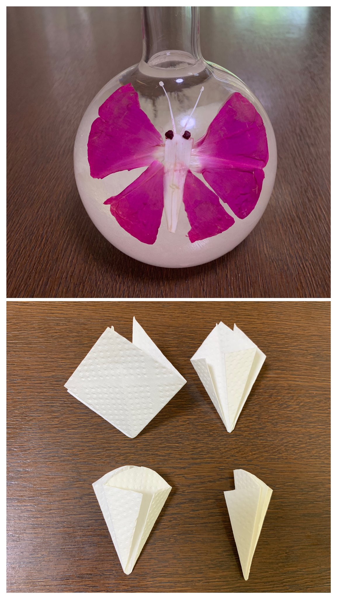 Inori 今日の実験 朝顔の花で水シールをしてみました 残った花びらで色水を作ってみたらとても綺麗で 何か染め たくなったので キッチンペーパーで朝顔を折って染めてみました セージ オシロイバナでも染めましたがセージの青はほぼ消え オシロイバナは